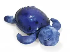 Tortue Tranquil ocean