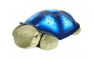 Tortue Twilight Tunes