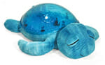 tranquil turtle
