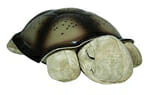 veilleuse tortue twilight