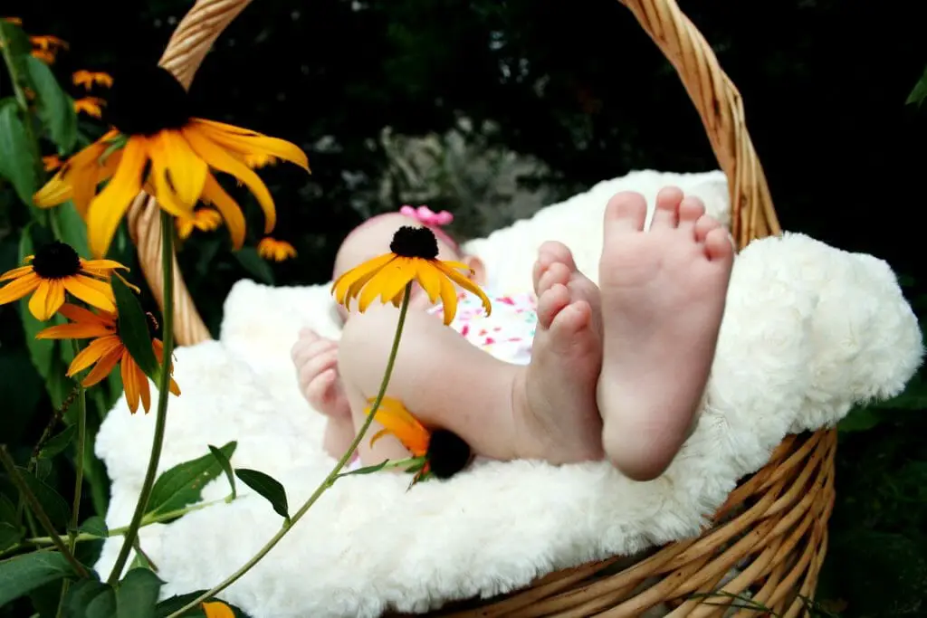 chambre bébé plante