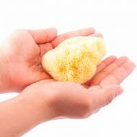 Eponge naturelle pour bébé Zephyr – Image 7
