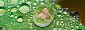 plante chambre bébé